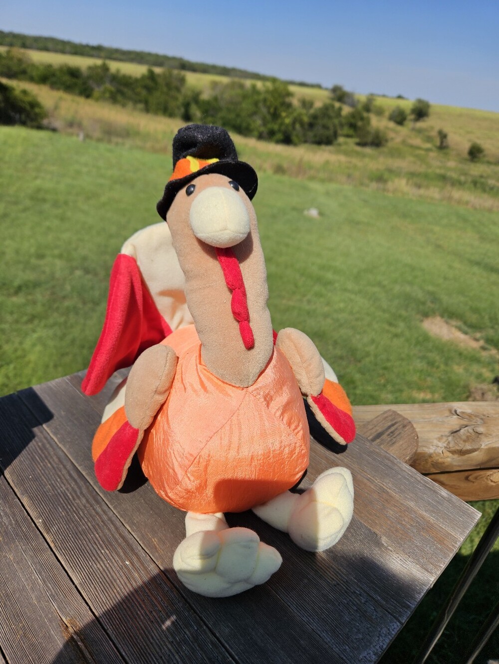 Vtg Thanksgiving Turkey Plush Pilgrim Top Hat Stuffed Animal Fall Holiday Decor